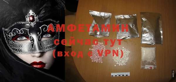 молекула духа Богородицк