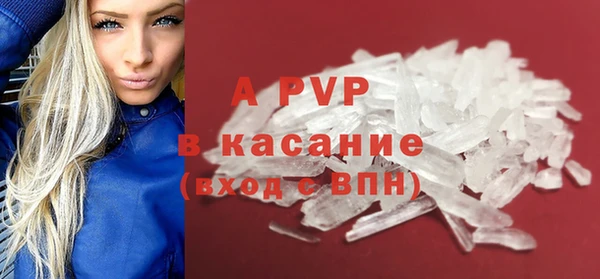 молекула духа Богородицк
