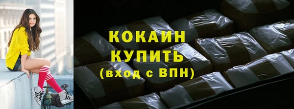молекула духа Богородицк