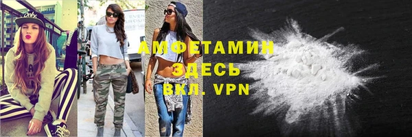 молекула духа Богородицк
