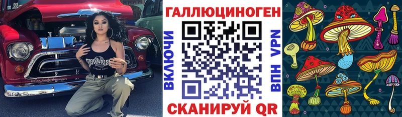 Галлюциногенные грибы Psilocybe  Купить где  Янаул 